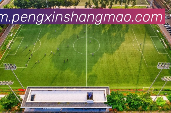 乐竞体育网站APP 封面图